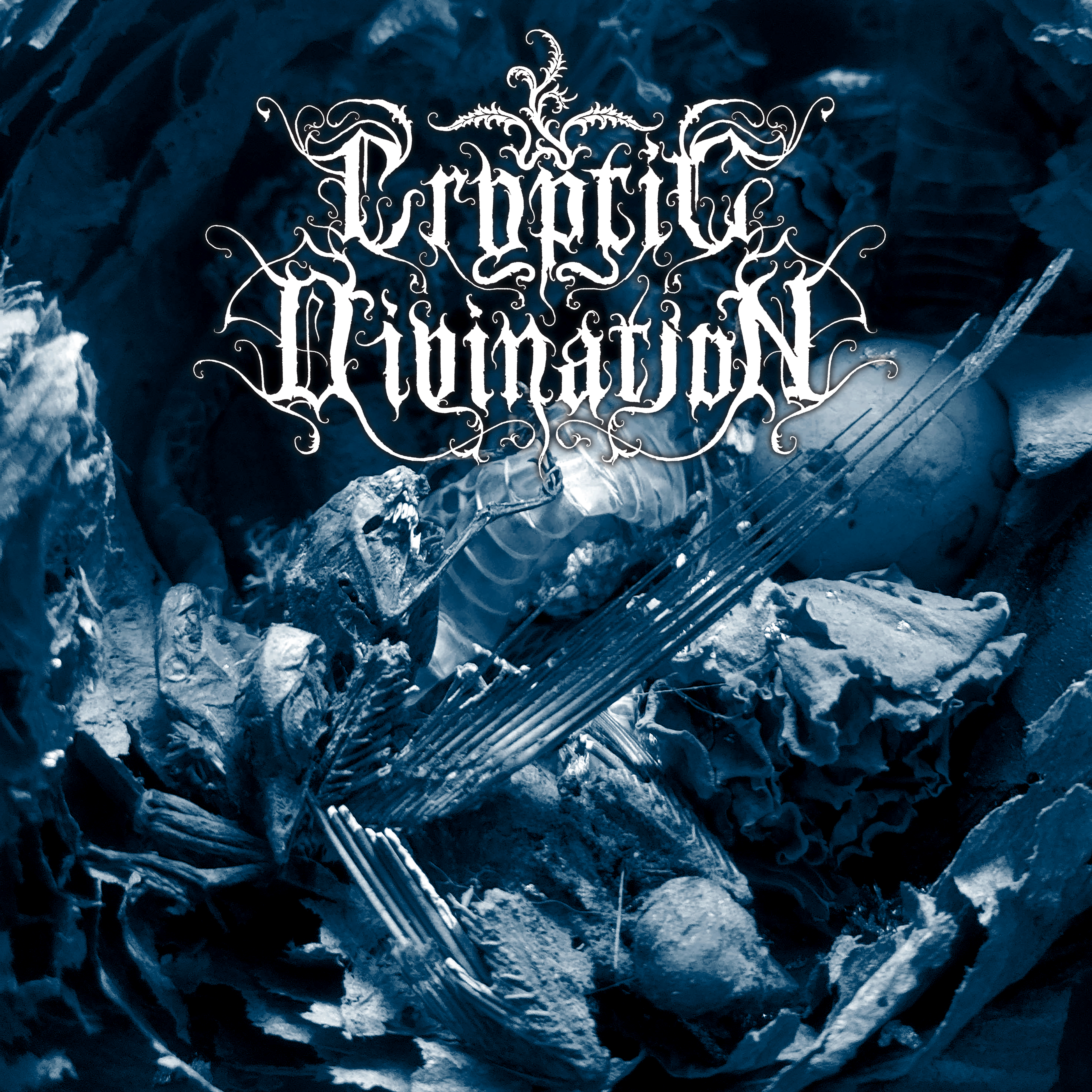 Cryptic Divination Volume I photo